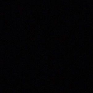 Meet your Posher, Josie